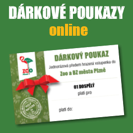 Nákup dárkového poukazu online