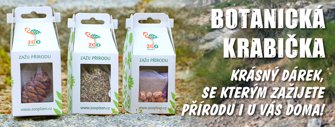 Botanické krabičky