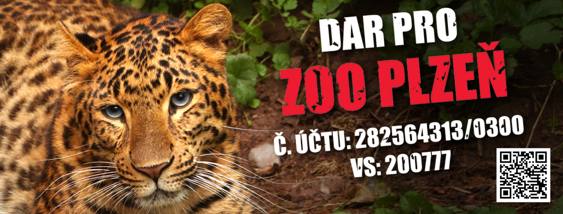 Dar pro zoo