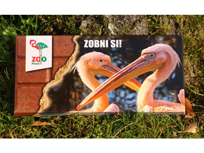 čokoláda mléčná (1) mini