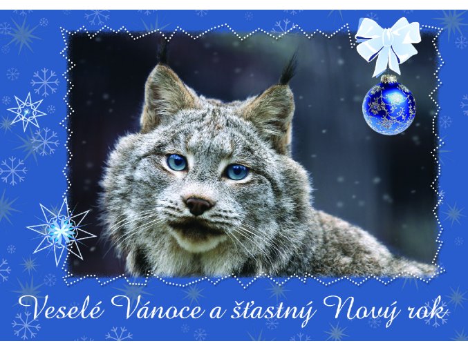 Vanocni pranicka JPGY