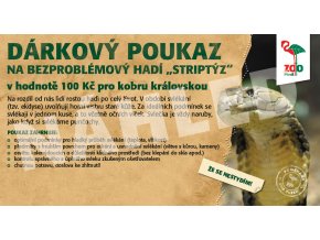 Darkovy poukaz nahled5