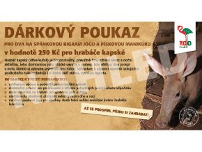 Darkovy poukaz nahled6