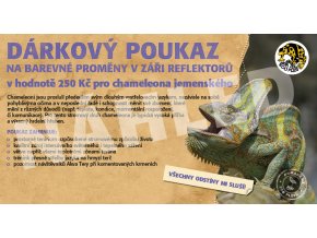 Darkovy poukaz nahled2