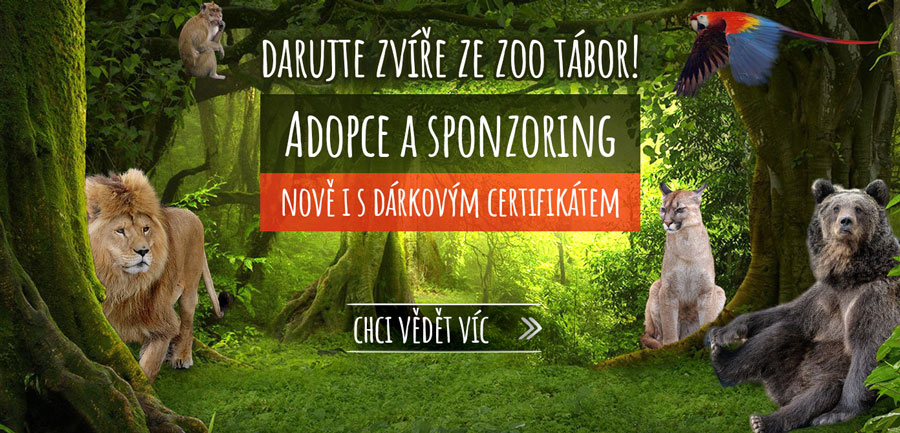 ZOO Tábor