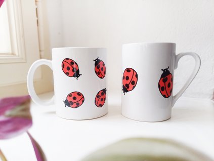 For a ladybug and her bf