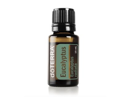 eucalyptus