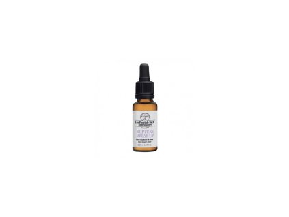 Syndrom vyhoření / Rupture 20 ml Bachovy květové BIO esence