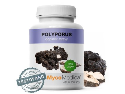 Polyporus 90x500mg MycoMedica