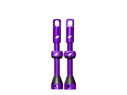 PURPLE short isolated