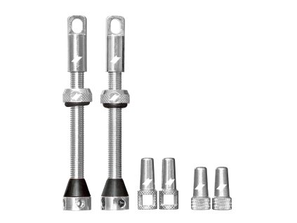 SILVER long