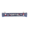 minisala artis v1