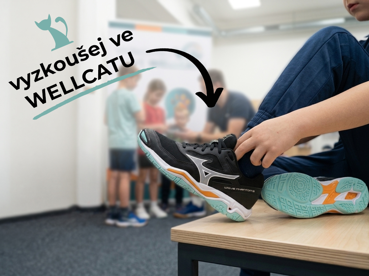 vyzkoušej sálovou obuv ve Wellcatu