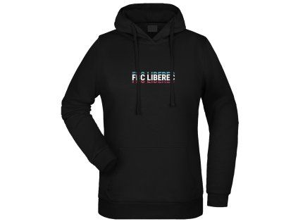 hoodie echo d
