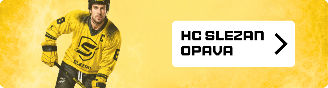 PATIČKA banner slezan
