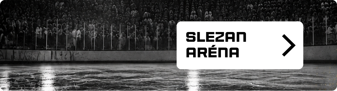 PATIČKA banner arena