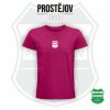 MSA FANSHOP fotbal Haná Prostějov 09