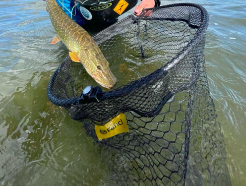 How to choose a fly-fishing landing net