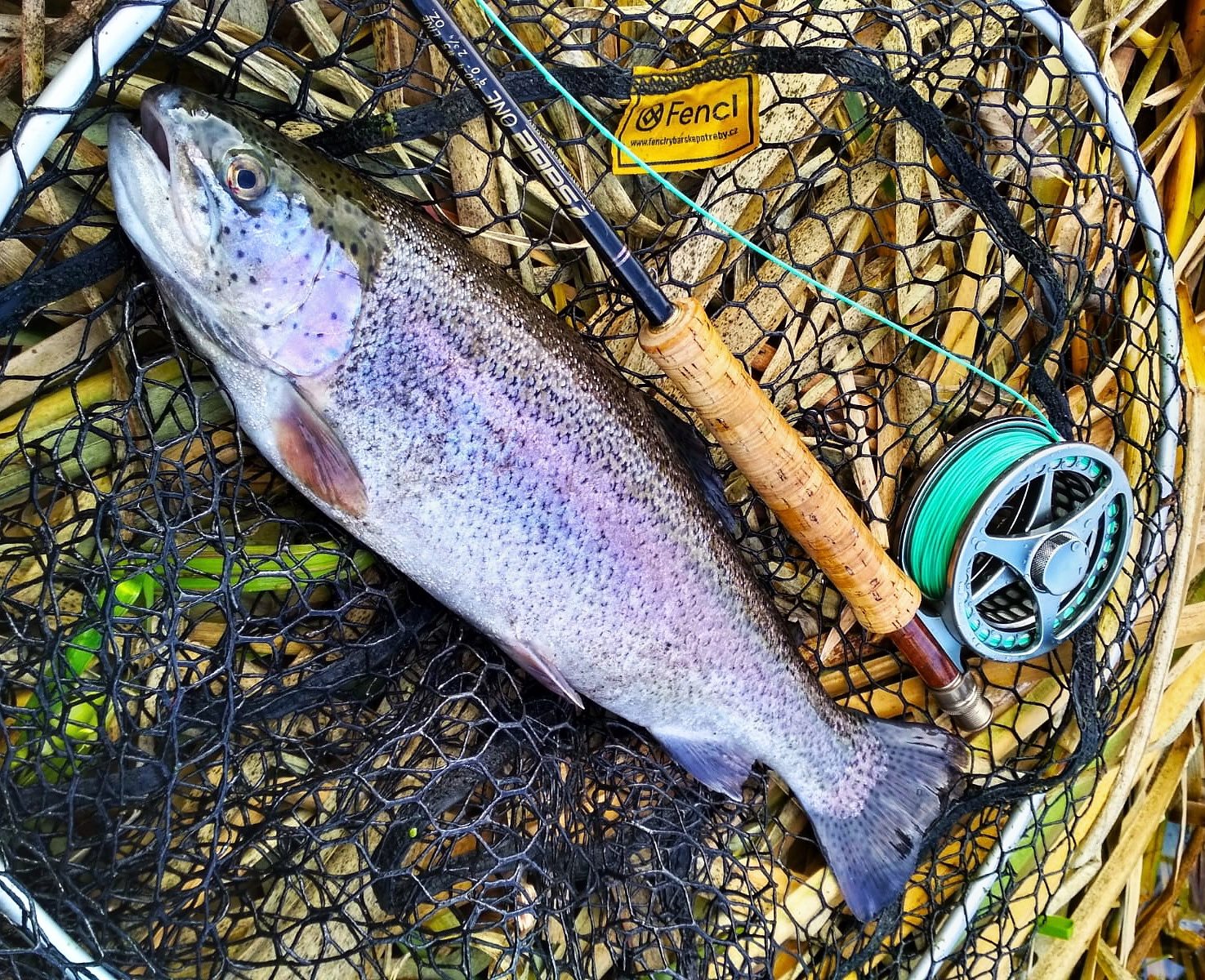 How to choose a children's fishing net