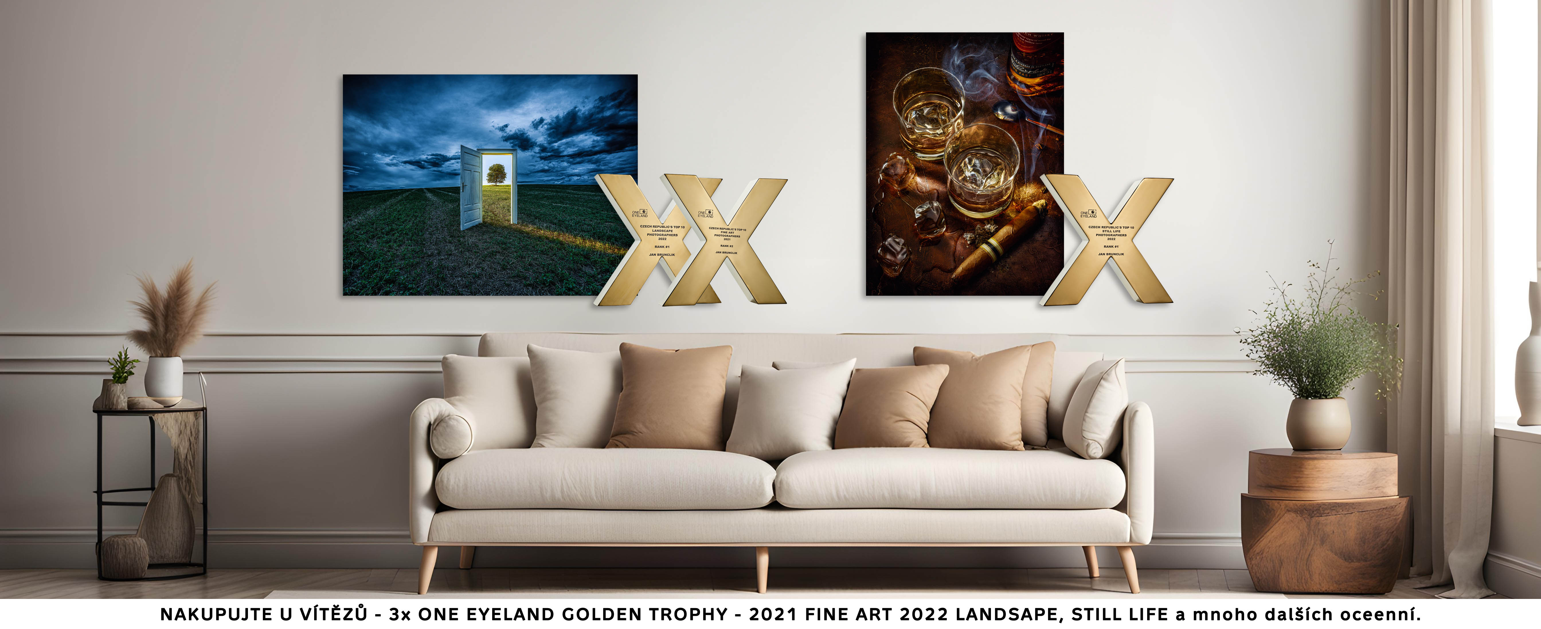 One Eyeland Golden X Trophy
