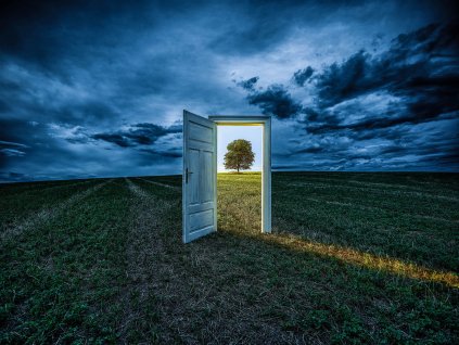 THE DOOR no.4