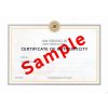CERTFICATE OF AUTHENTICITY sample