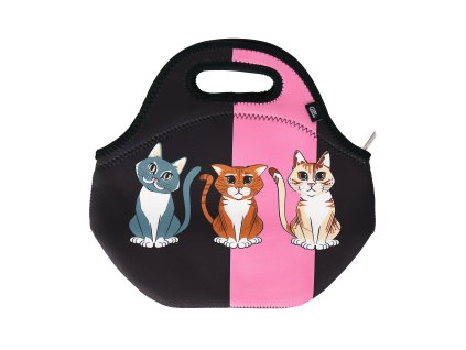 Svačinová taška (Varianta Ledňáček)