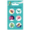 Sady magnetů (Varianta Magnety - Ptáčci)