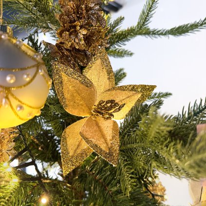 TrblietaváViančonáRuža