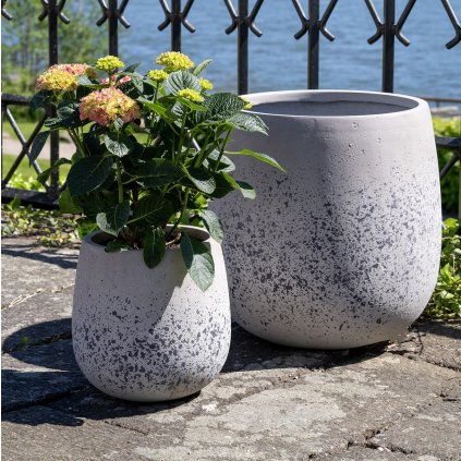 SADA 2KS KVETINÁČOV SUTTON