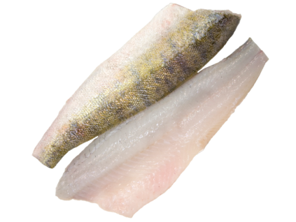 Candát filet