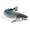wild salmon rs