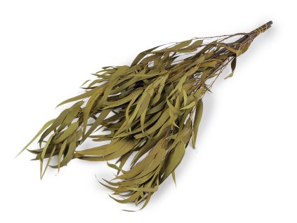 Stabilizovaný eukalyptus svazek (Balení 1 svaz., Varianta 5 černá)