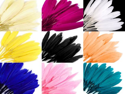 Kachní peří délka  9-14 cm (Balení 1 sáček, Varianta 10 černá)