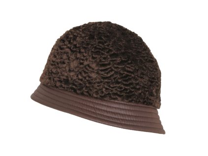 21907dfd17e60269670ad0dc376306b6