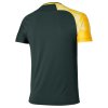 Pánské sportovní tričko Mizuno Daybreakers Shadow SS Tee(M) / Black / Vibrant Yellow (Velikost XXL)