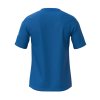 Pánské sportovní tričko Mizuno MZNRB Tee(M) / Royal (Velikost 3XL)