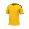 Pánské sportovní tričko Mizuno MZNRB Tee(M) / Yellow (Velikost 3XL)