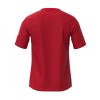 Pánské sportovní tričko Mizuno MZNRB Tee(M) / Red (Velikost 3XL)