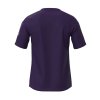 Pánské sportovní tričko Mizuno MZNRB Tee(M) / Purple (Velikost 3XL)