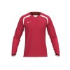 Pánské házenkářské tričko Mizuno MZNRB LS Shirt / Red (Velikost S)