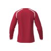 Pánské házenkářské tričko Mizuno MZNRB LS Shirt / Red (Velikost S)