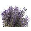 Umělé bobule / trs do květináčů a vazeb (Balení 1 ks, Varianta levandulová)