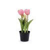 Umělé tulipány v květináči (Balení 1 ks, Varianta 1 (21cm) bílá)