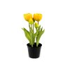 Umělé tulipány v květináči (Balení 1 ks, Varianta 1 (21cm) bílá)