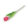 Umělý tulipán dlouhý (Balení 1 ks, Varianta 1 krémová nejsvět.)
