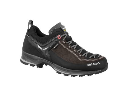 Dámské Boty Salewa WS MTN TRAINER 2 GTX
