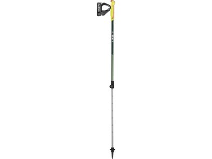 Dětské Hole Leki Walker XS green metallic-olivgreen-white