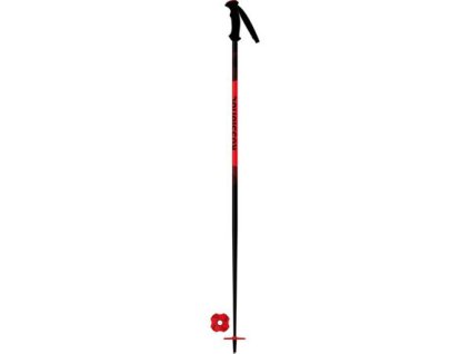Hole Rossignol TACTIC JR