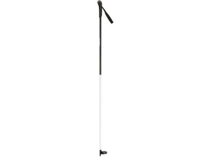 Hole Rossignol FT-500